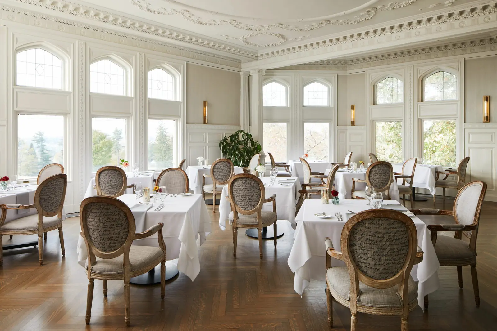 Luxury Wellness Resort